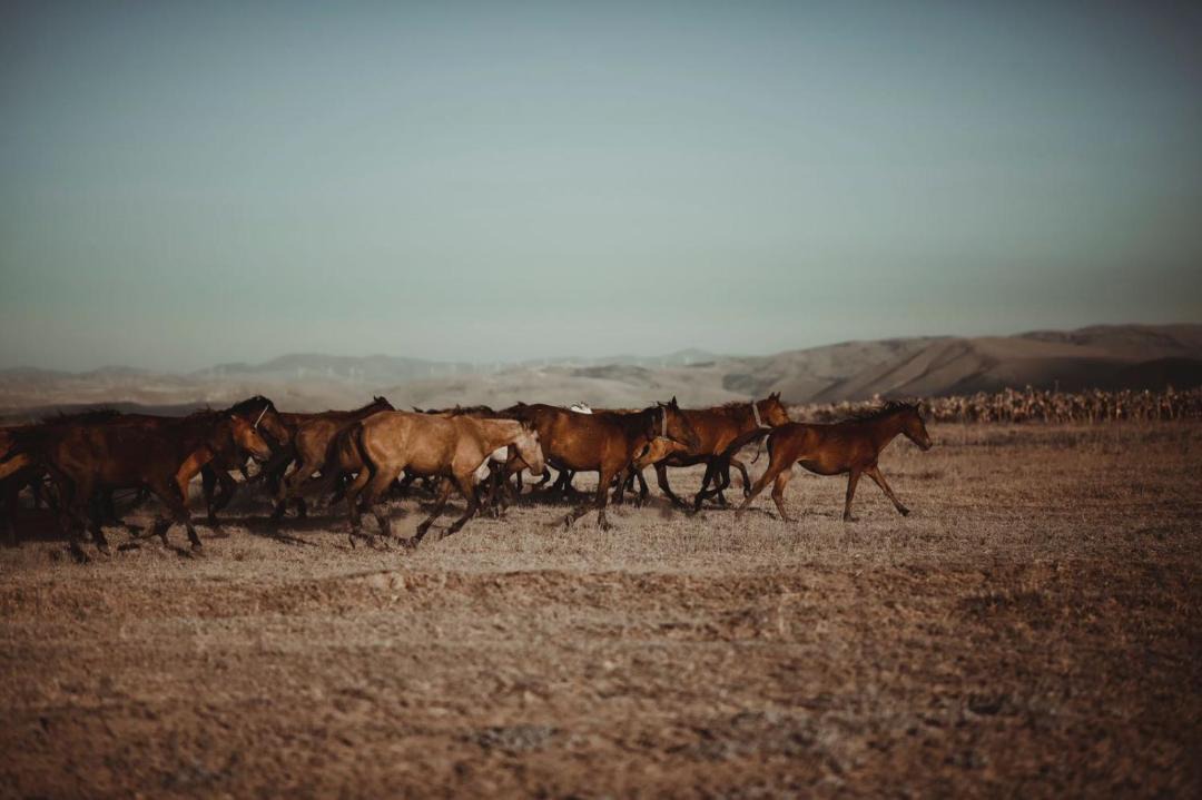 Photo of Others in Ovaciftlik