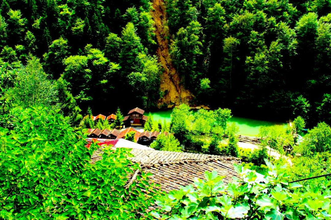 Photo of Others in Caykara