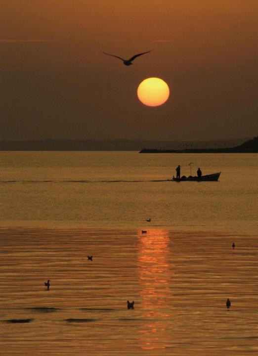 Photo of Others in Silivri