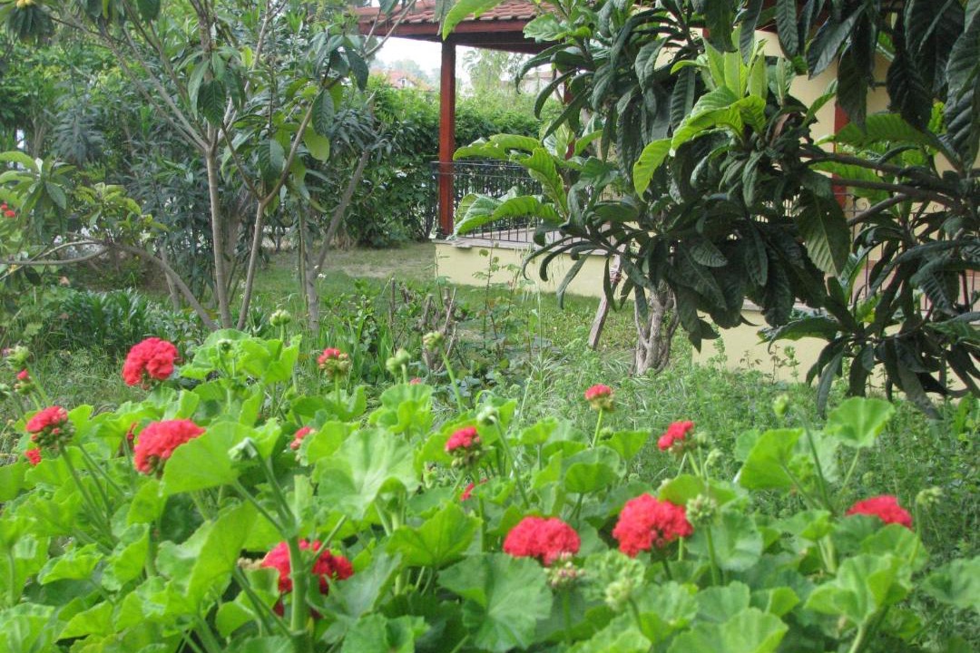 Photo of Others in Gocek