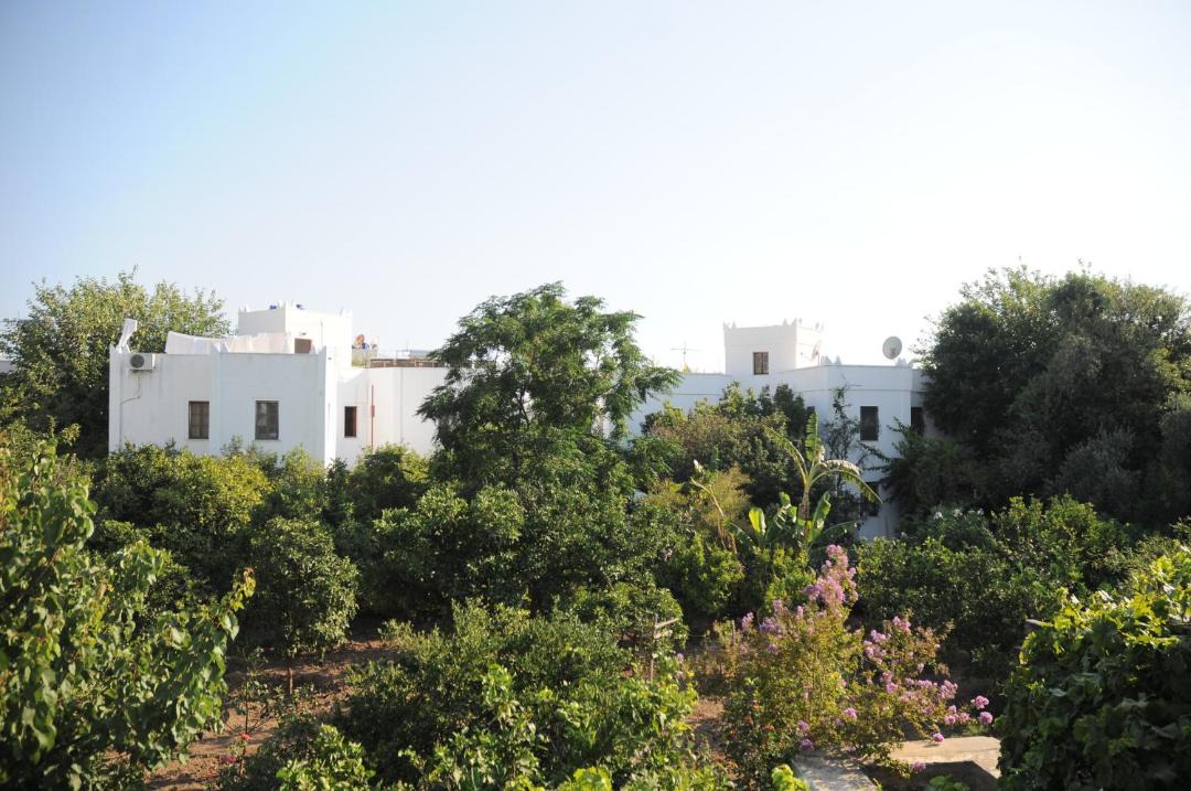 Photo of Others in Bodrum City Center