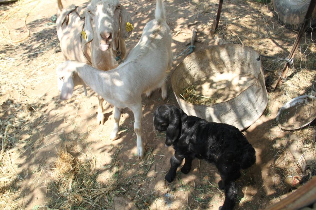 Photo of Others in Patara