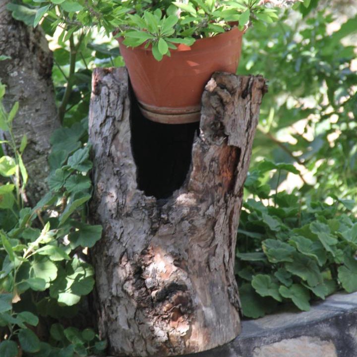 Photo of Others in Patara