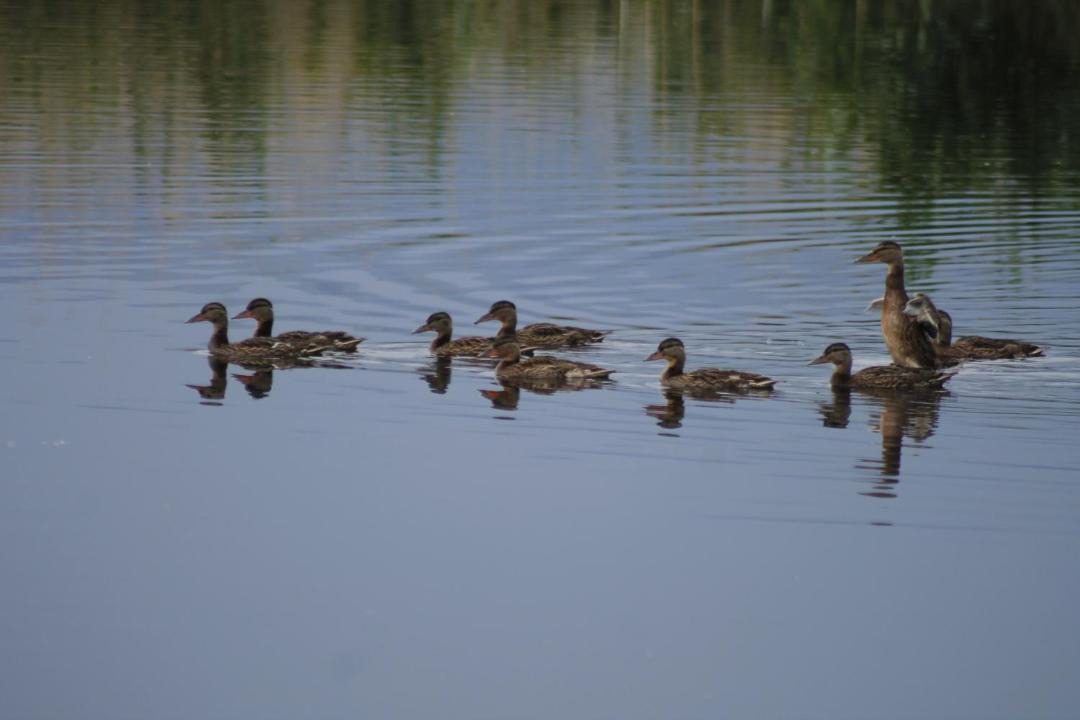 Photo of Others in Ovaciftlik