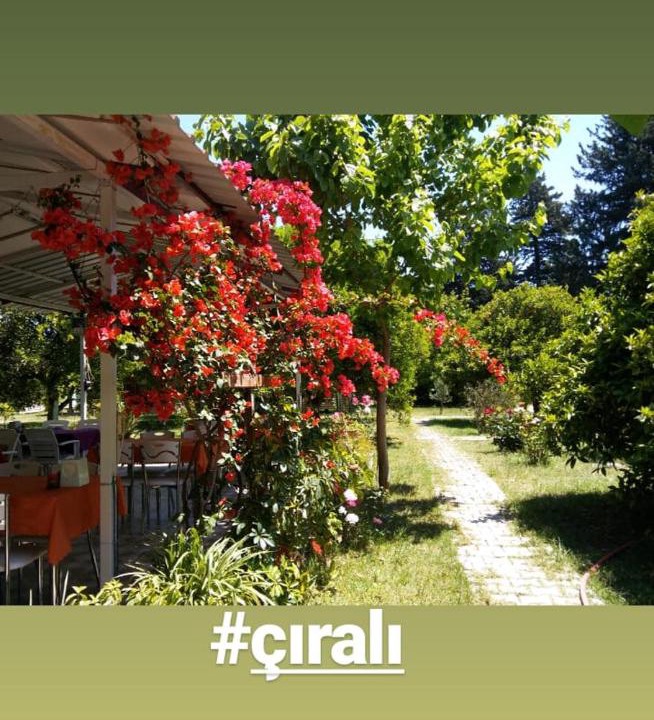 Photo of Others in Cirali