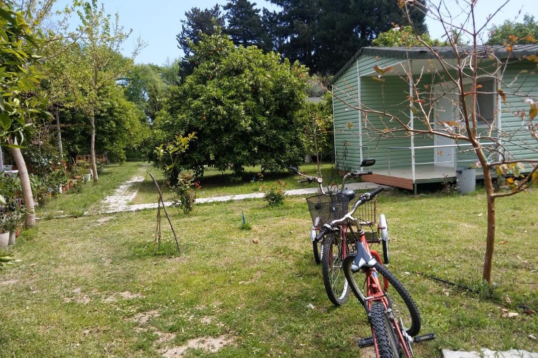 Photo of Others in Cirali