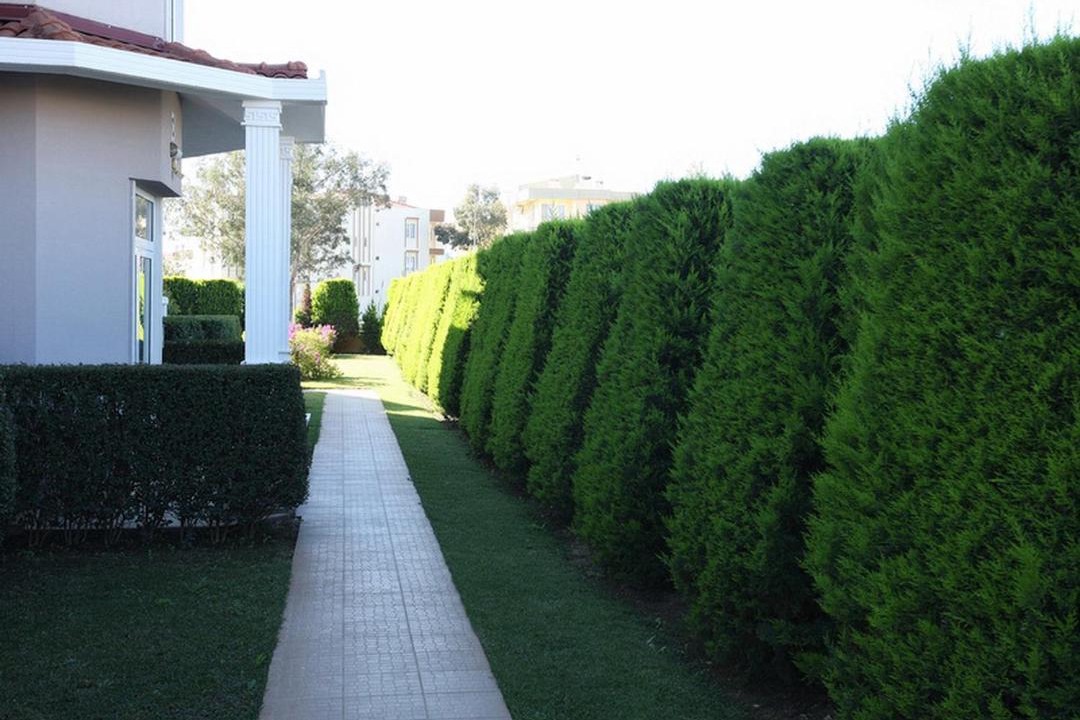 Photo of Others in Belek