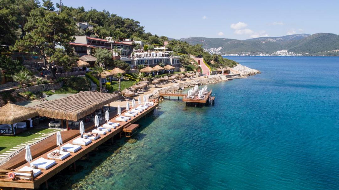 Photo of Others in Torba