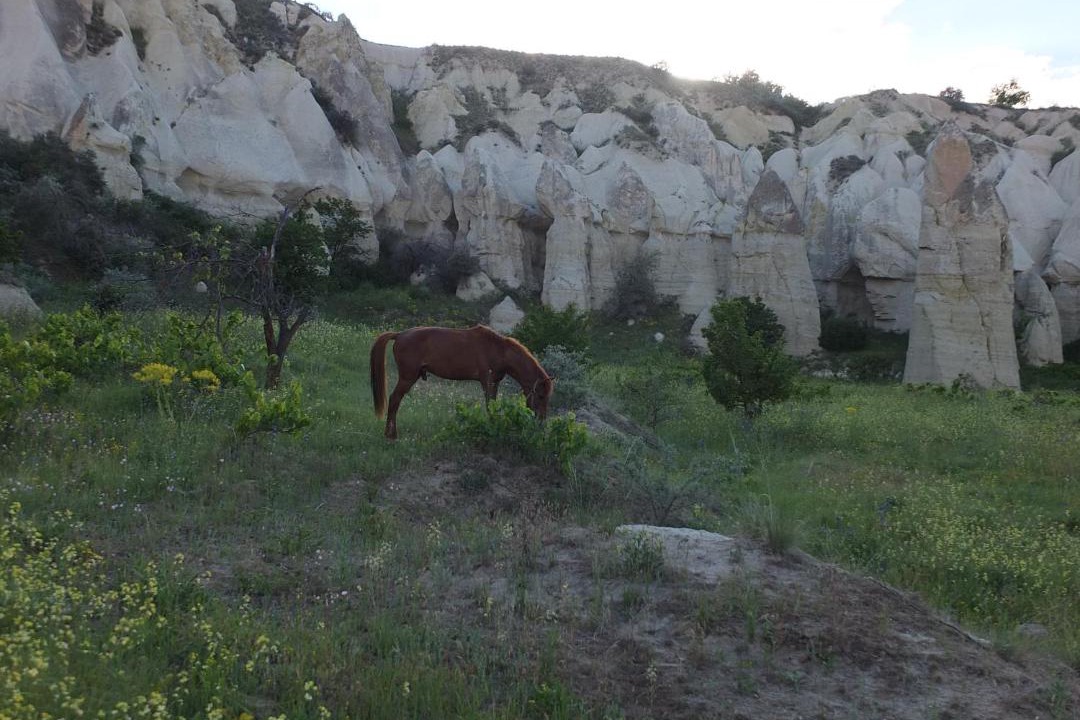 Photo of Others in Goreme