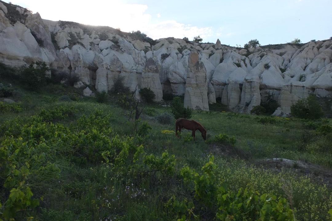Photo of Others in Goreme