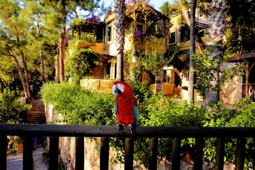 Photo of Others in Oludeniz City Center