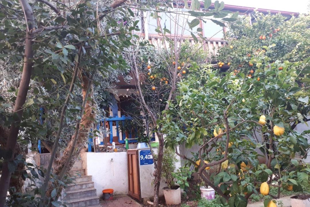 Photo of Others in Kaleucagiz
