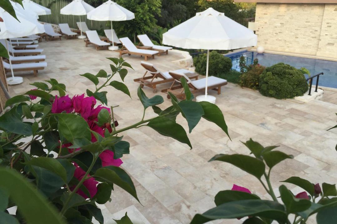 Photo of Others in Patara