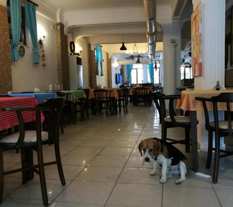Photo of Others in Ayvalik