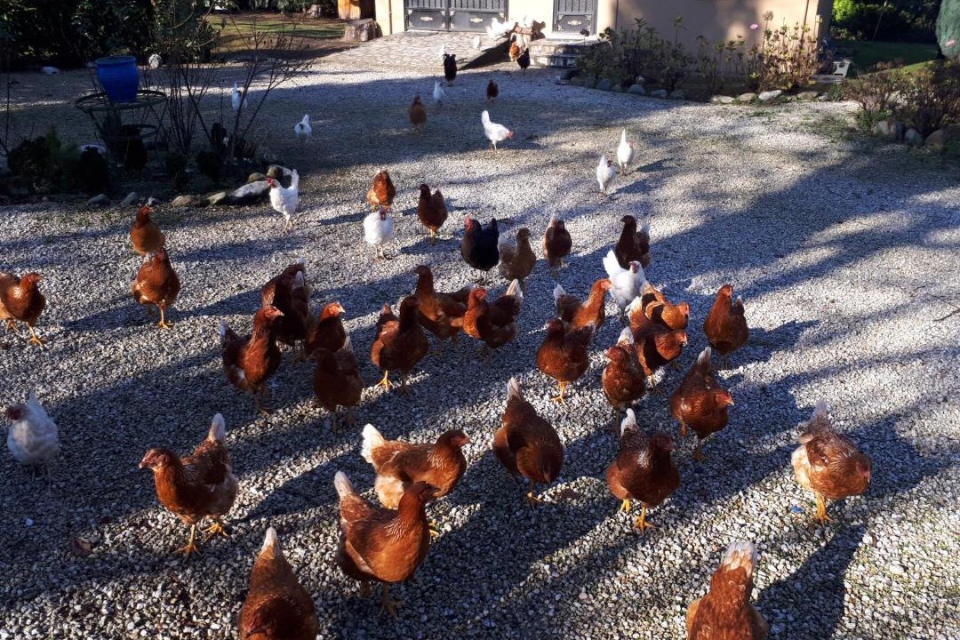 Photo of Others in Yanik