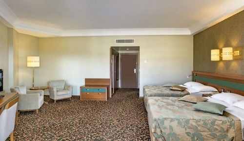 Standard Large Room