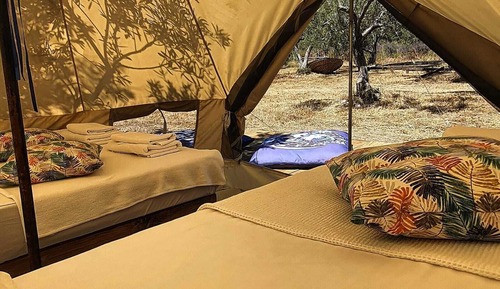 Standard Tent