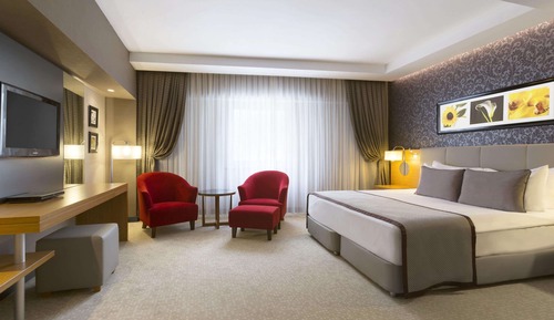 Superior Room, 1 King Bed, Smoking