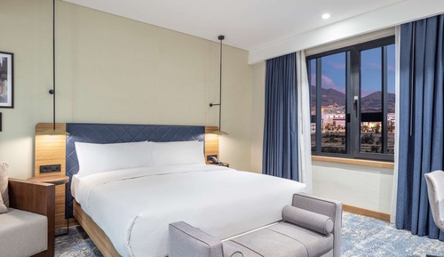 Suite, 1 King Bed with Sofa bed