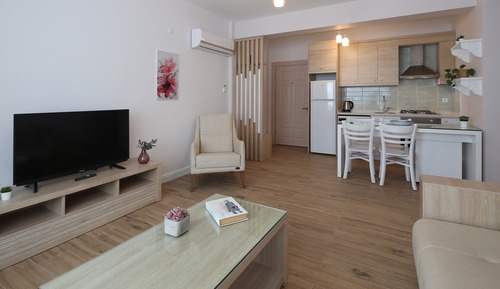 Luxury Apartment