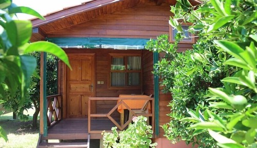 Tree House (2 People)