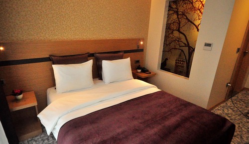 Executive Suite Room