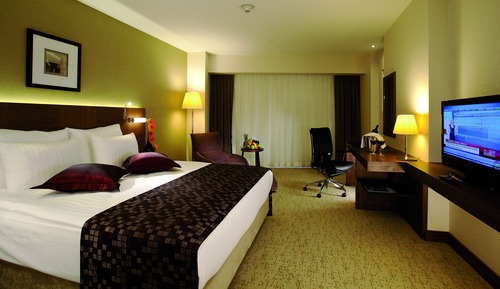 Standard Room, 1 King Bed