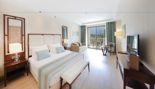Deluxe Large Room, Land View