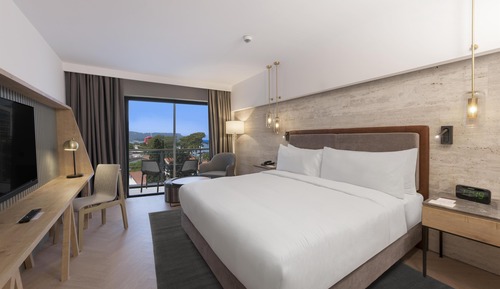 Room, 1 King Bed