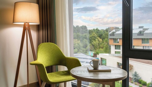 Junior Suite (Forest View)