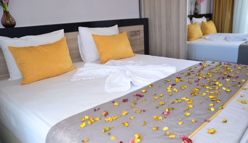 Economy Twin Room