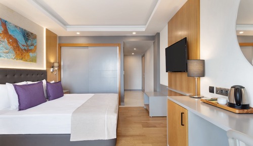 Room, 1 Double Bed, Accessible