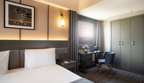 Junior Suite Room