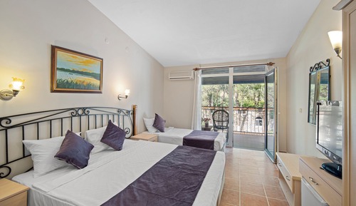 Deluxe Room, Patio, Mountain View