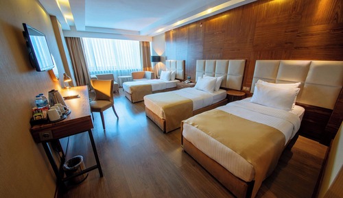 Deluxe Triple Room
