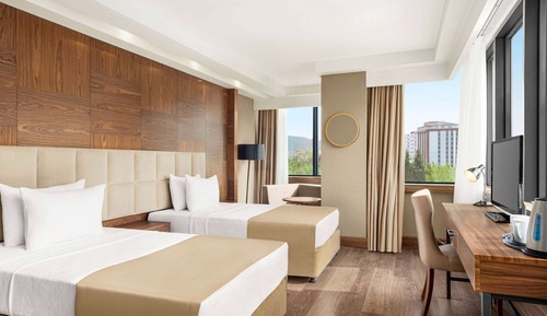 Room, Accessible (Mobility, Roll-In Shower)