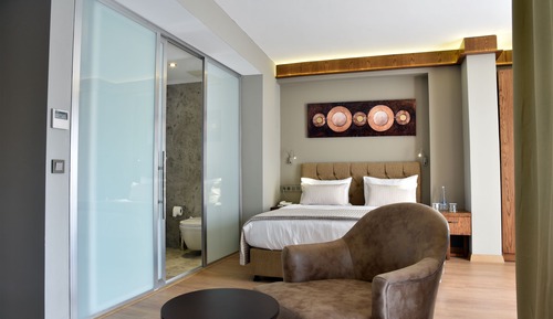 Deluxe Double or Twin Room, Balcony