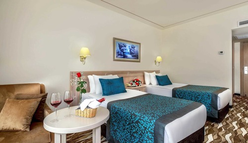 Double or Twin Room, Mountain View