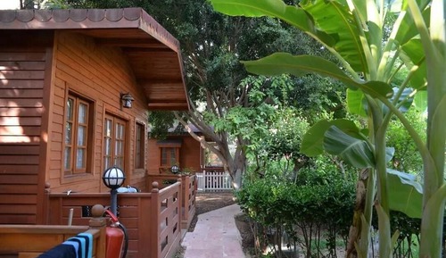 Traditional Bungalow, Balcony, Garden View