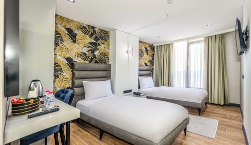 Deluxe Twin Room