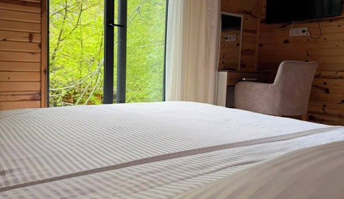 Standard Room, Valley View