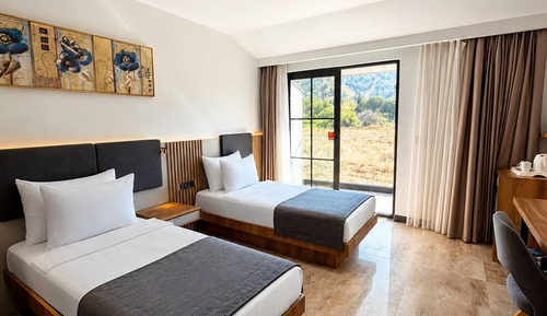 Superior Double or Twin Room