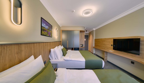 Superior Triple Room