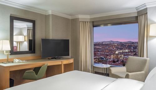 King Accessible Room