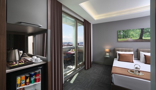 Executive Suite, 1 Bedroom