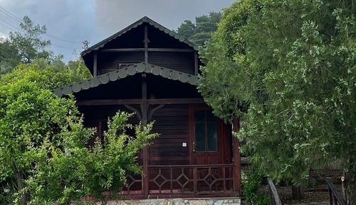 Standard Bungalow, Garden View