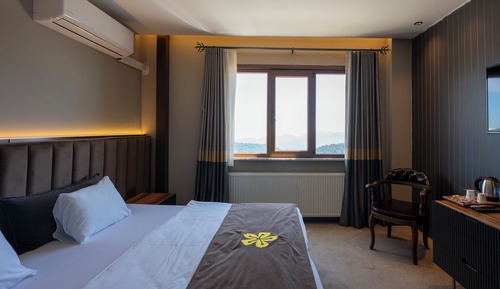 Standard Double Room, Mountain View