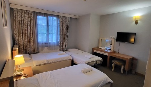 Classic Triple Room, Mountain View