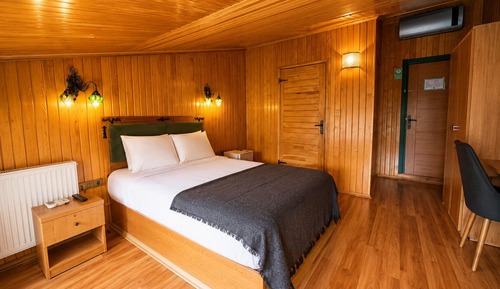 Economy Room, 1 Double Bed