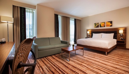 Family Room, 1 King Bed